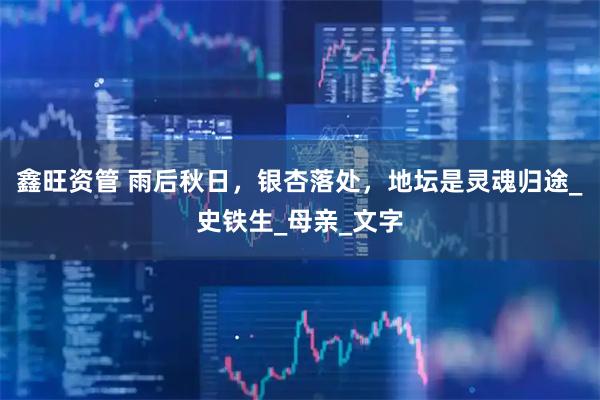 鑫旺资管 雨后秋日，银杏落处，地坛是灵魂归途_史铁生_母亲_文字