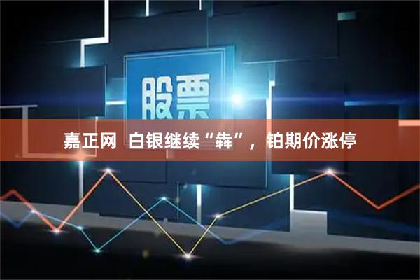 嘉正网  白银继续“犇”，铂期价涨停
